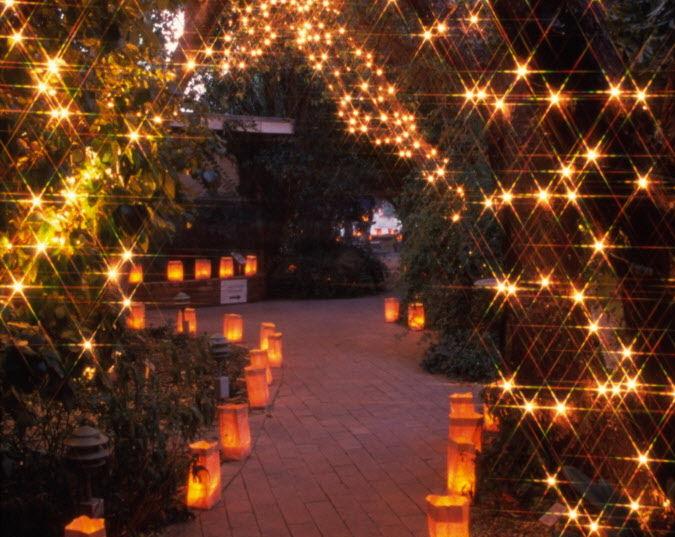 Luminaria Night